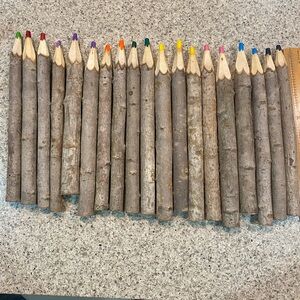 Rustic Twig Colored Pencil Set